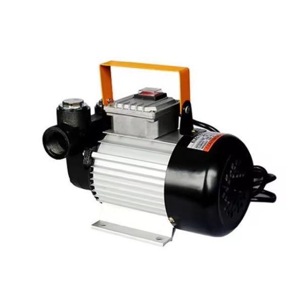 High Flow Compact Electric Oil Diesel Pumps 220V 60L/Min
