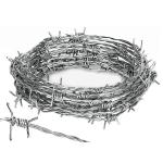 Special Design Widely Used Electro Galvanized Barbed Wire 50 KG Per Roll GI