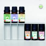 Christmas Aromatherapy Essential Oils Wholesale OEM PackageWith 6 Fragrance