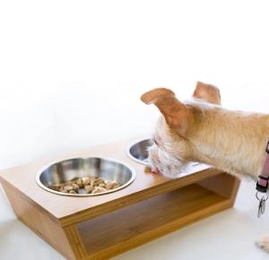 Wholesale Pets Elevated Dog Bowl Stand 4”Raised Dog Bowl For Dogs And Cats from china suppliers