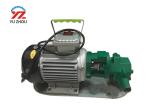 Self Priming High Flow Gear Pump , Portable Mini Gear Pump Customized Colour