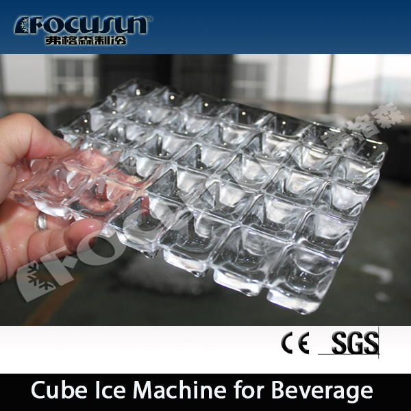 Commercial Stainless Steel 304 1000 lbs Plate Ice Machine for Hostels Made