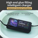 Electric Vehicle Plug Lead Acid Battery Charger 48V20AH 30ah 40ah 50ah 60ah for