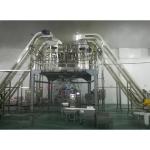Pillow Bags Automatic VFFS Packaging Machine For Pulses Nuts Beans