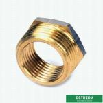Double Female Threaded Coupling Plug Screw Fittings Compression Brass Fittings