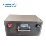 BMS 200ah Leadyo Battery Lithium Ion Camper Battery 190mm Height For RV