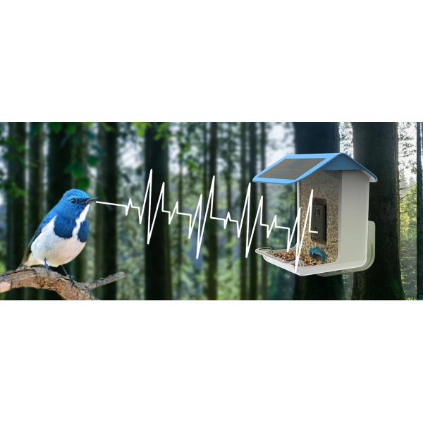 Smart Bird Feeder with Camera Wireless Outdoor, Bird Buddy Feeder Camera, Solar Powered, Camera 1080P HD Video