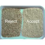 2 Channels Rice Sorting Machine