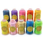 Colorful 120/2 4000 yards 5000 yards Mercerized Embroidery Thread 0.145 mm for