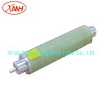 Oil Immersed Transformer Bayonet Fuse Limit Current Elsp Fuse Cbuc17065c100m