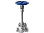 Inch 1/2" - 24" LCB CF8M Cryogenic Control Valve Prevent Stem Instability