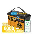 OEM ODM 12V 100Ah LiFePO4 Battery For Solar RV Caravan Marine In US Germany UK