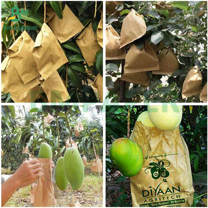 Biodegradable Rainproof Coated Wax Black Mango Fruit Protection Growing Paper