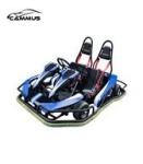 Belt Drive 2 Seater Go Kart