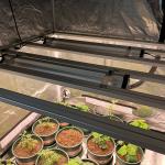 indoor 320watt Samsung LM301B Hydroponics Grow Light Osram 660nm