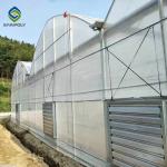 Large Double Arch 4.5m Multi Span Greenhouse Stable Structure Layer 0.15 Film