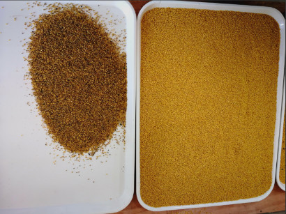 12 Chutes Large Capacity yellow rice Color Sorter With Dust Removal System