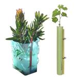 Pink Corrugated Plastic Tree Wrap Waterproof Corflute Tree Guard
