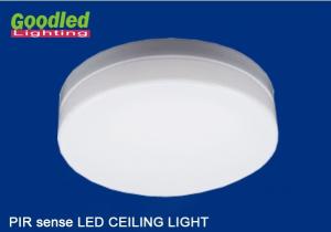 15W PIR IP65 LED Ceiling Lamps Aluminium CRI 80 For Amusement