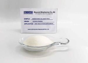 Wholesale Foods Supplements Grade Native Type Ii Collagen , Type Ii Chicken Collagen Cure Osteoporosis from china suppliers