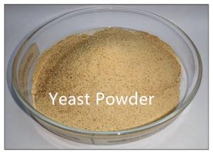 Wholesale Yeast Powder 40% Protein Feed Additives Raw Material for Chickens from china suppliers