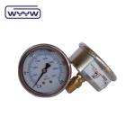 2.5" glycerine filled panel flange type pressure manometer