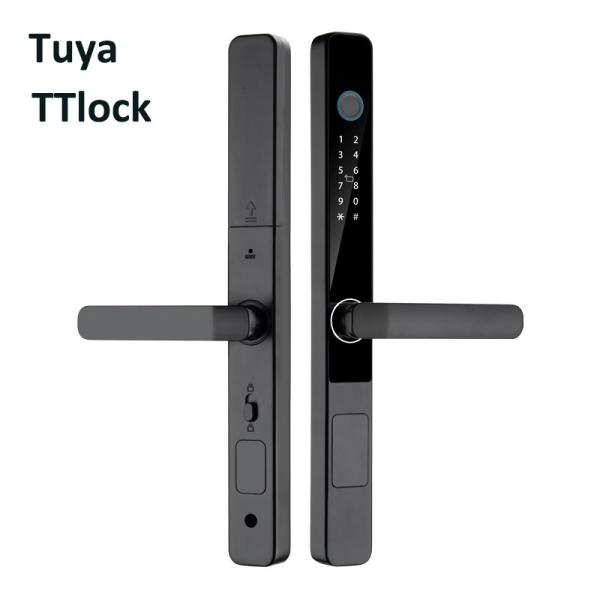 TTlock IP65 Aluminium Door Electric Lock Tempered Glass Automated Front Door