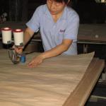 Fancy Koto Veneer Plywood / Mdf / Particle Board Painted-Free Panels For Door