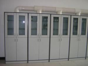 Wholesale Customized Tall Storage Computer Lab Furniture , 2 Door Chemical Storage Cabinet from china suppliers
