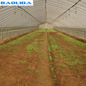 Wholesale Automatic System Plants Growing Farming Rigger Greenhouse Drip Irrigation System from china suppliers