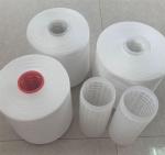 NE 50S/2 Eco Friendly TFO 100 Recycled Polyester Spun Yarn