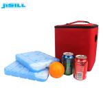SGS CPSIA Approved Reusable Ice Brick 50Ml For Shipping Food Keep Fresh