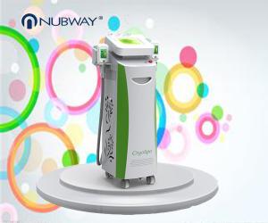 Wholesale whole year biggest promotion activity fat removal silmutaneous double handle super -15℃ Cryolipolysis body slimming from china suppliers