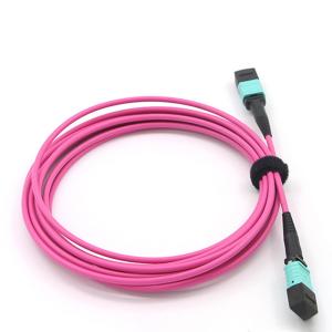 Wholesale Multimode OM4 Magenta Mpo Optical Cable 2m 850nm 12 Core from china suppliers