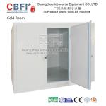 Energy Saving Walk In Blast Freezer , Industrial Blast Freezer For Fruit / Dairy