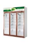Multipurpose Commercial Display Freezer 5 Layers Beverage Cooler