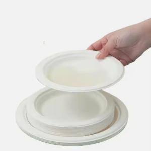 Wholesale Round 6 Inch Sugarcane Pulp Plates Sugarcane Compostable Plates Sustainable from china suppliers