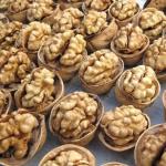 Wholesale high-quality organic Xinjiang walnut kernel 185 paper shell walnut