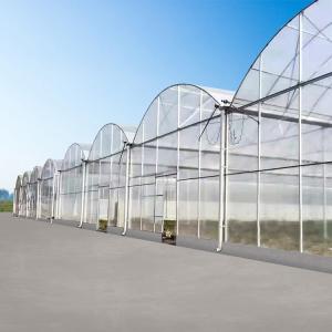 China Agricultural Farm Multispan Polycarbonate Panels Greenhouse with Shading System on sale