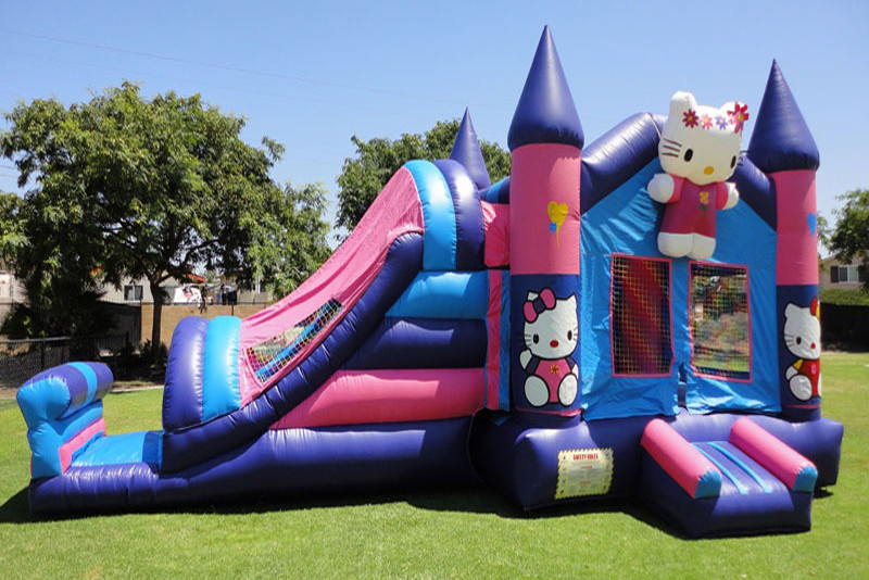 Frozen Bouncy Castle Combo Commercial Bounce House Inflatable Jumping Bouncer With Slide For Kids