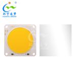 300W High CRI 96 High Power COB LED 5454 54V 5700K For Indoor or Outdoor Light