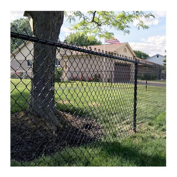 Customized Galvanized PVC Coated Diamond Wire Netting for Outdoor Fencing