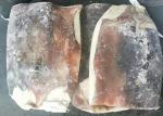 Bqf Squid Dried Fish Frozen Huge Size Store Condition -18 Degree C