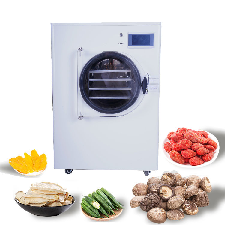6kg 8kg 10kg 12kg 20kg Per Batch Medium Mini Freeze Dryer Drying Machine With Oil Free Pump