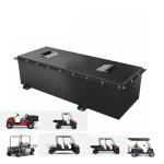 OEM ODM LiFePO4 lithium battery pack golf cart batteries 48v 100ah 200ah car