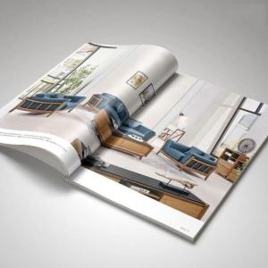 Wholesale CMYK Printing Multi Page Brochure from china suppliers