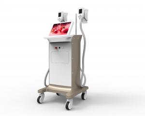 China cooling body shaping machine 2 cryolipolysis handles working in the same time 2018 hottest in big sale on sale