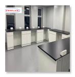 80 Kg Chemistry Laboratory Furniture with As Drawing Number of Wheels