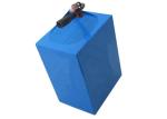 Professional LIFEPO4 Battery Pack 10Ah Eco Friendly CE ROHS Certification