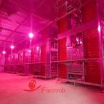 Energy Efficient Poultry Lighting System 3 Tiers - 8 Tiers Baby Chick Rearing